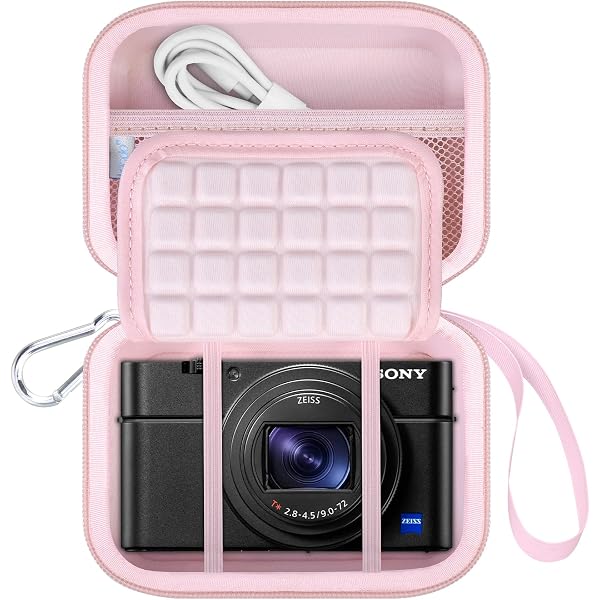 Amazon.com : Canboc Carrying Case for Sony RX100 VII/VI/V/IV/III
